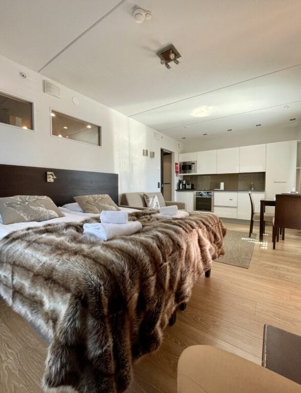 Superior Studio C28 - Tunturinäköala